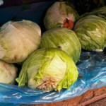 México confirma 3 casos vinculados con cyclospora
